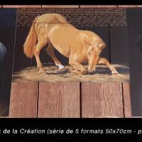 Les 5 chevaux de la Création (Légende Navajo, USA)  -  5x  50 x 70 cm